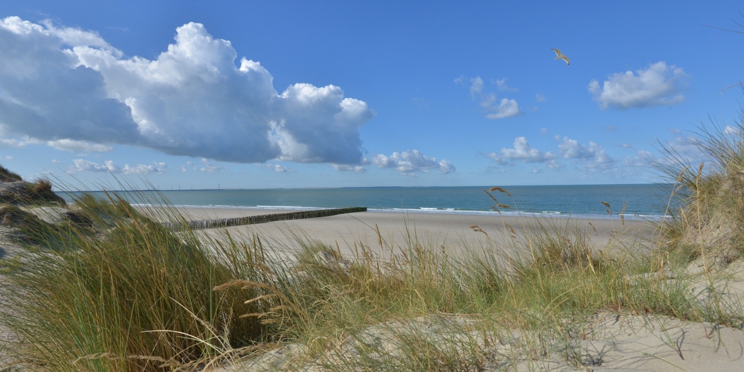 Fotowanden van duinen en zee